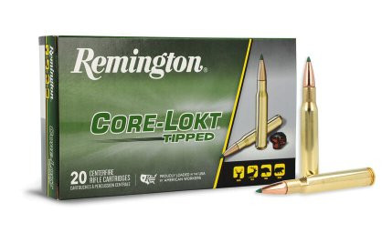 REMINGTON CORE-LOKT TIPPED .30-06SPRG 165GR, VPE: 20STÜCK, #29035