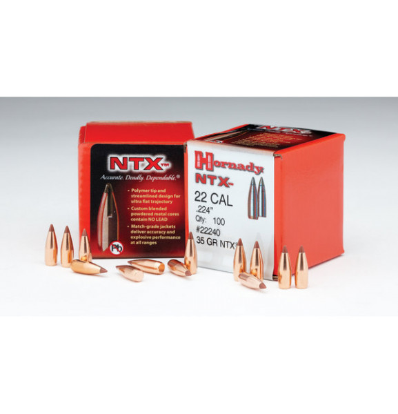 HORNADY NTX .20/.204 30GR, VPE: 100STÜCK, #22000
