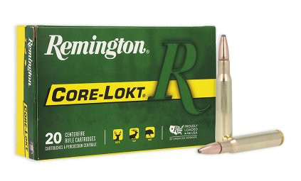 REMINGTON CORE-LOKT .30-06 SPRG .165GR PTD SP, VPE:20STÜCK, #21415