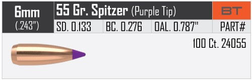 NOSLER BALLISTIC TIP VARMINT 6MM/.243 55GR VPE: 100STÜCK #24055
