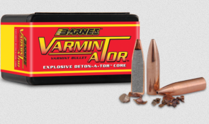 BARNES VARMINATOR 6MM/.243 58GR HP FB, VPE:100STÜCK, #30207