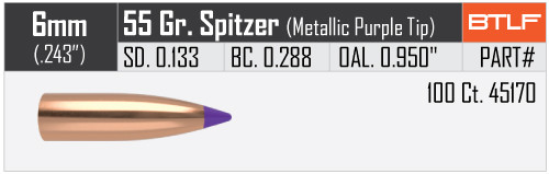 NOSLER BALLISTIC TIP LEAD-FREE™ 6MM/.243 55GR VPE: 100STÜCK #45170