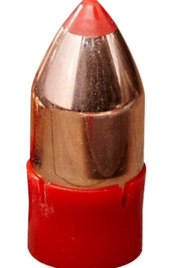 HORNADY BORE DRIVER .50 290GR, VPE: FTX 20, #67713
