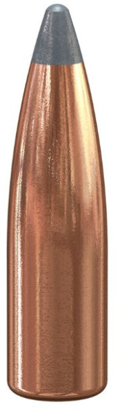 SPEER HOT-COR .243 90GR SP, VPE: 100STÜCK, #1217