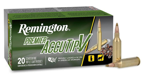 REMINGTON ACCU TIP-V.17 REM FIREBALL 20GR, VPE:20STÜCK, #29165