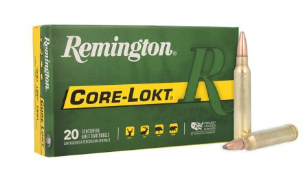 REMINGTON CORE-LOKT .300 WIN MAG 180GR PTD SP, VPE: 20STÜCK, #29497